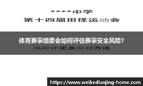 体育赛事组委会如何评估赛事安全风险？